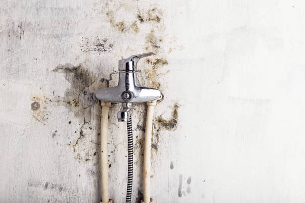 Best Mold Testing  in Tiger Point, FL