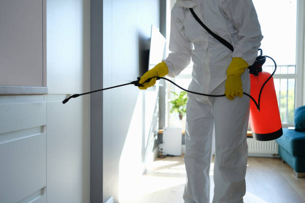 Best Commercial Mold Removal  in Tiger Point, FL