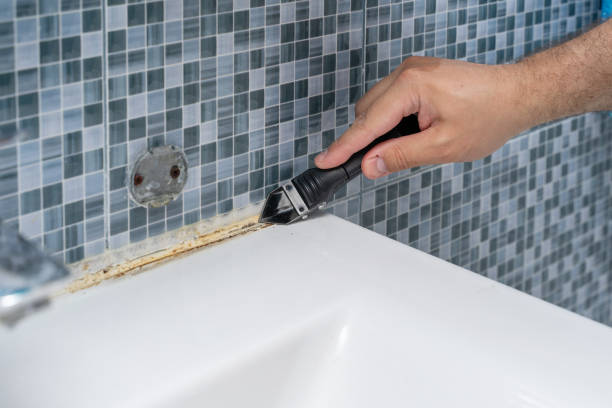 Best Mold Damage Repair  in Tiger Point, FL